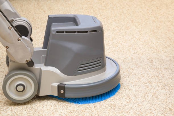 choose professional carpet cleaning services